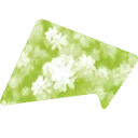 Logo Visser Tuinen