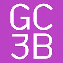 Logo Global Conference on Cyber Capacity Building GC3B