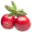 Logo Cranberry Terschelling B.V.