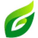 Logo Green Montage