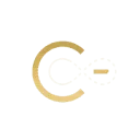 Logo C-NEXT LEVEL