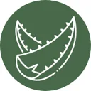 Logo Curaçao Ecocity Projects NV Home of CurAloe