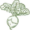 Logo Stichting De Groentedeler