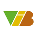 Logo VIB Consulting