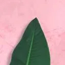 Logo Made Natural B.V.