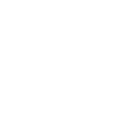 Logo Harlem Next