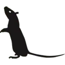 Logo VTW Plaagdierbeheersing