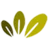 Logo Green Seed The Netherlands