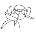 Logo Interieurstudio NOAH