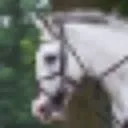 Logo Renswoude Horse Trials