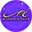 Logo Stichting Nederlands Symfonie Project