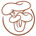 Logo Fryslân Fungies