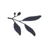 Logo Edell Fine Jewelry