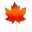 Logo The Orange Tree Foundation