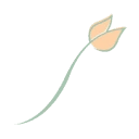 Logo Groei AND Bloei in Bedrijf Stichting
