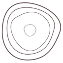 Logo inzicht.nu