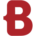Logo BORM Nederland b.v.