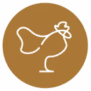 Logo Colins Breda