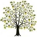 Logo van Oaktree Consultancy