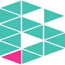 Logo Blikverruimers