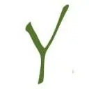 Logo Holland INcompany