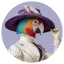 Logo MISAMI