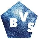 Logo BVS-schooladvies