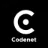 Logo Codenet