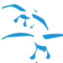 Logo Stichting Les Oiseaux Bleus