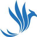 Logo Chapter11