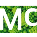 Logo Doug McDee Strategists