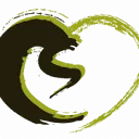 Logo van CHILD SURGERY - Viet Nam Foundation