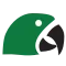 Logo Araflora