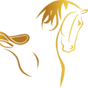 Logo Ihesta Saddles B.V.