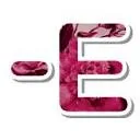 Logo SUZANN-E