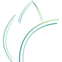 Logo Parelss - Coaching AND Training