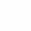 Logo QVS Consulting