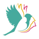 Logo Bullfinch IT