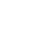 Logo Protium.digital