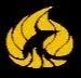Logo PhoenixCS