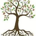 Logo Harmonia Naturae - Coaching