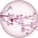 Logo What Healing Really Is