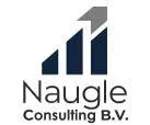 Logo Naugle Consulting B.V.
