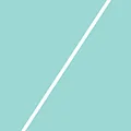 Logo Wember video