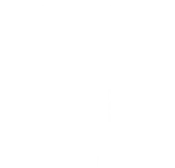 Logo KS Service Center