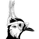Logo Kievit Optiek