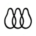 Logo Peerdrops