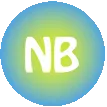 Logo Netwerk Dutch Circular Leadership