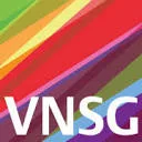 Logo VNSG
