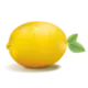 Logo Dutch Designs with lemon